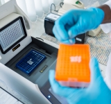 L’importanza dell’esame coprologico molecolare PCR Real Time nel cane